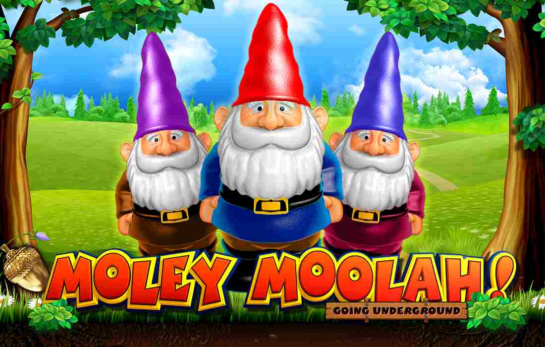 'Moley Moolah'